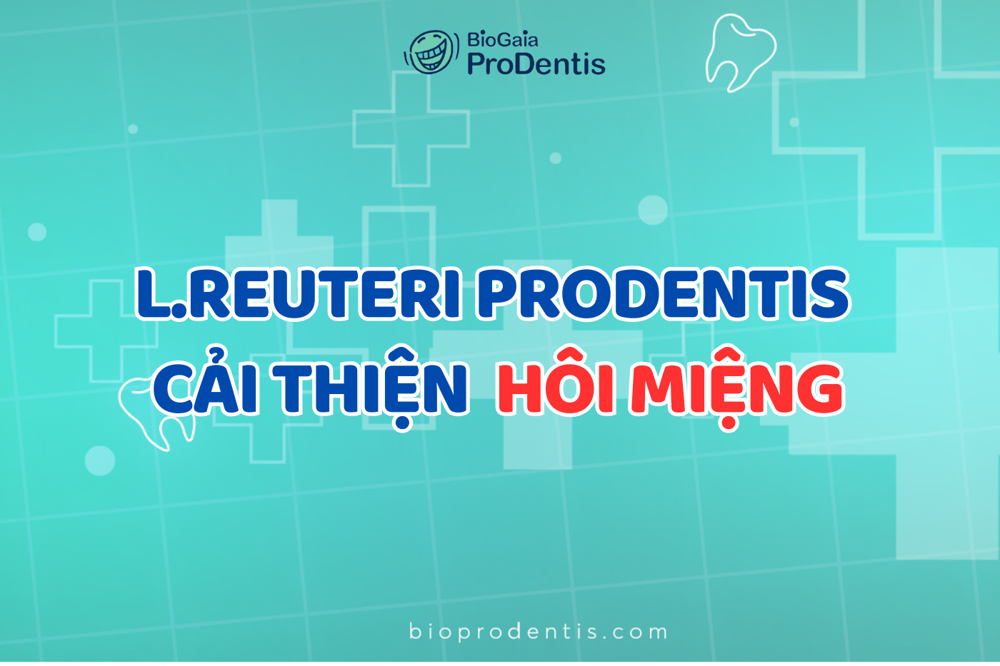 L.reuteri Prodentis cải thiện vấn đề hôi miệng