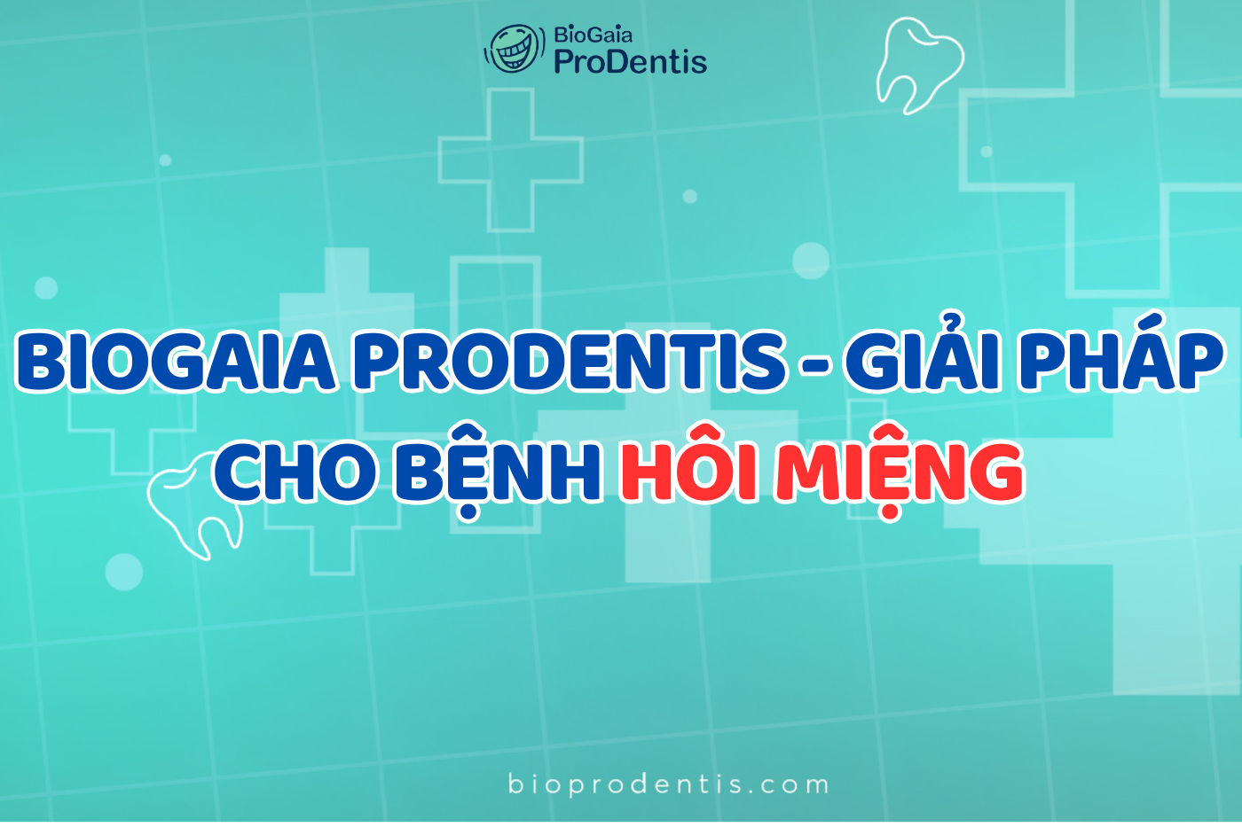 Men vi sinh nha khoa BioGaia Prodentis - Giải pháp cho bệnh hôi miệng