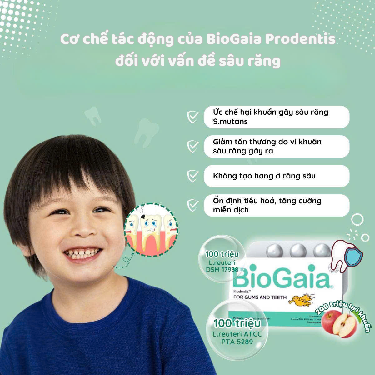 Cơ chế tác động của BioGaia Prodentis đối với vấn đề sâu răng