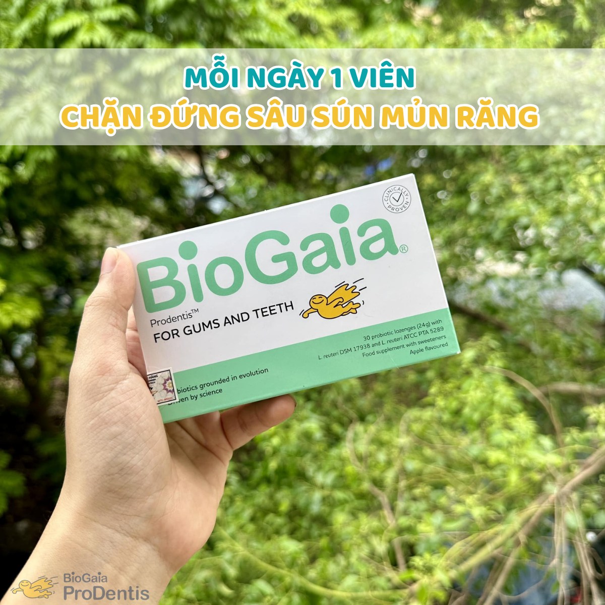 BioGaia Prodentis phòng ngừa sâu răng, bảo vệ sức khoẻ răng miệng toàn diện