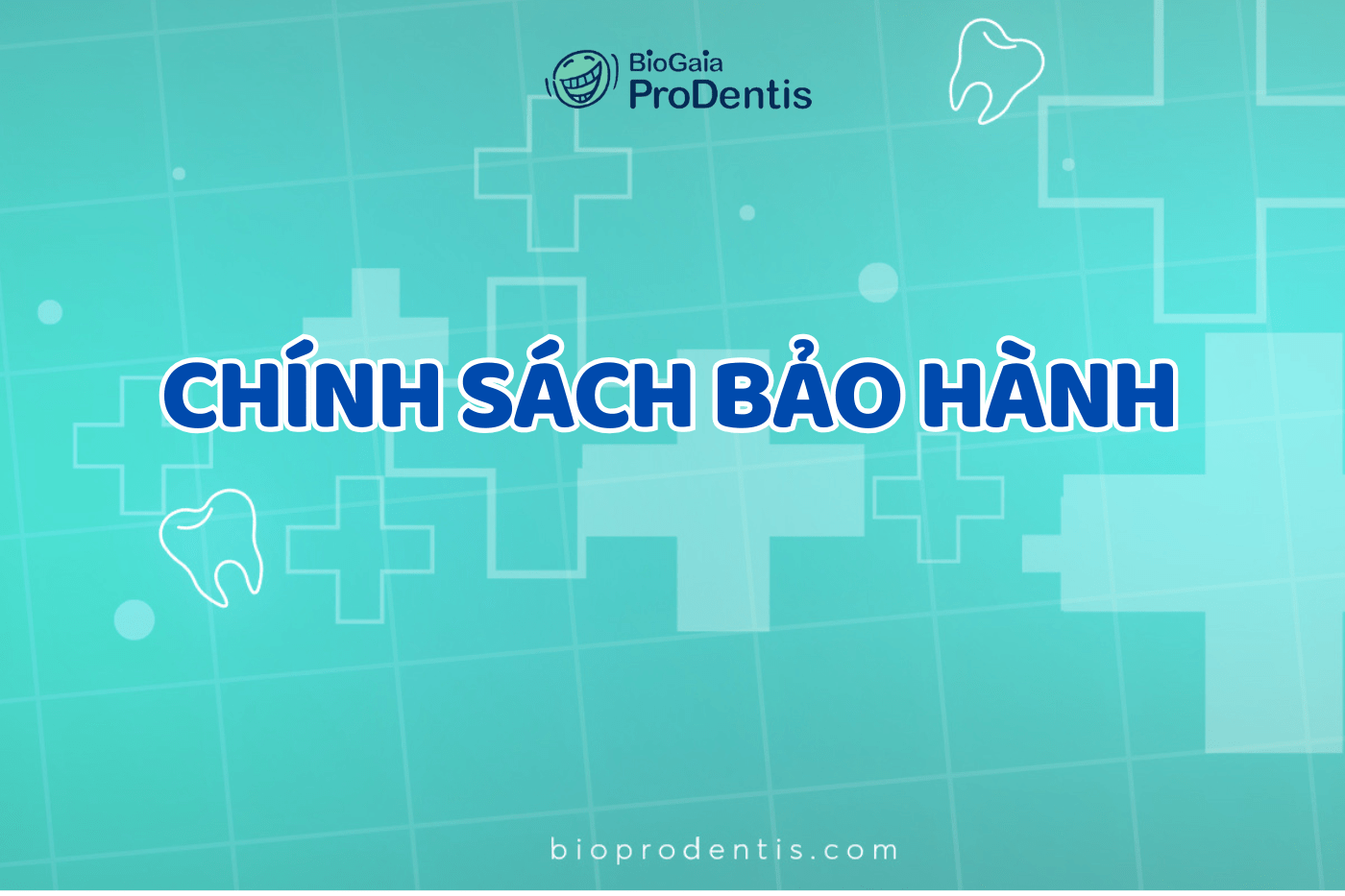 Chính sách bảo hành