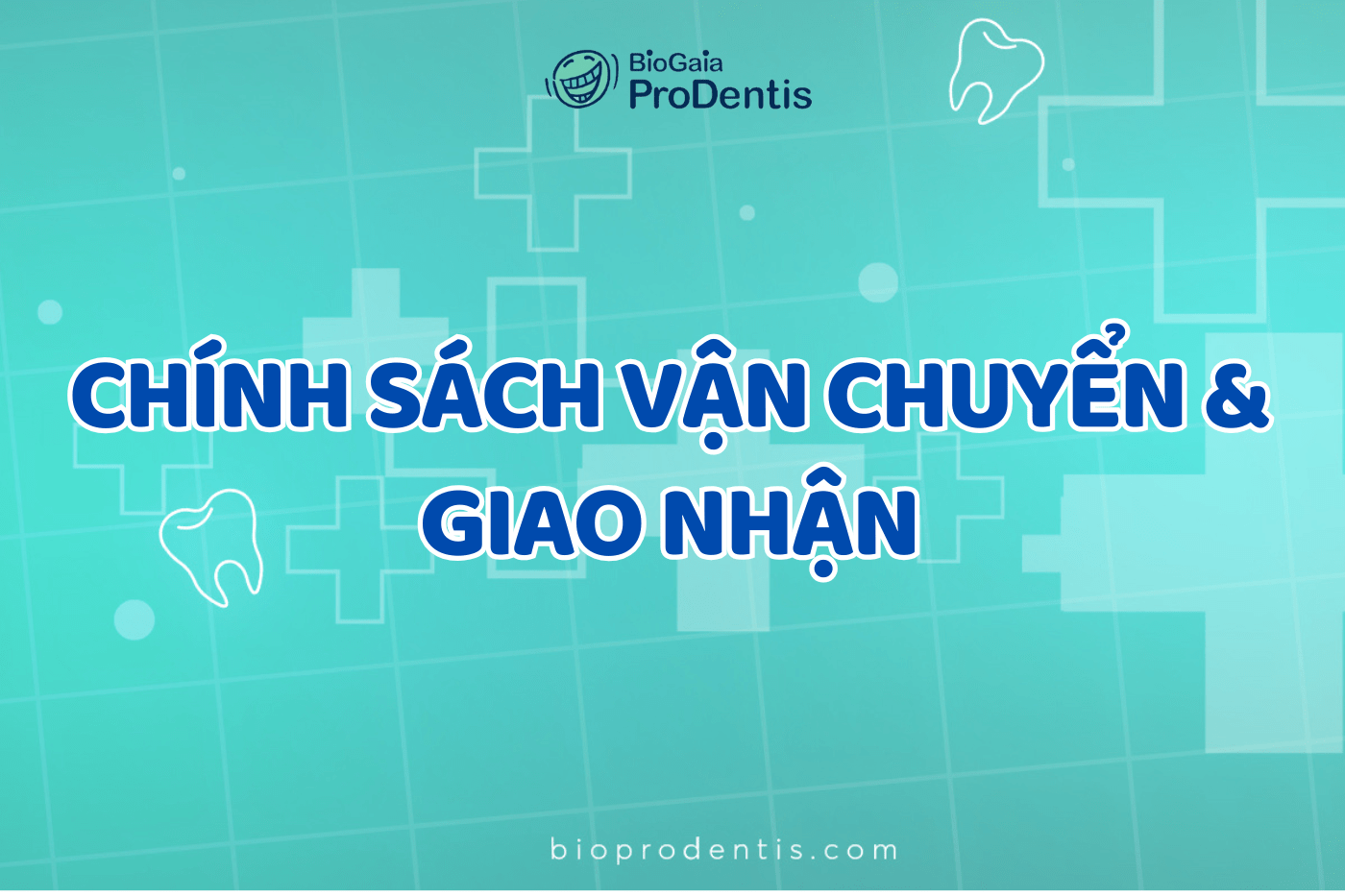 Chính sách vận chuyển và giao nhận